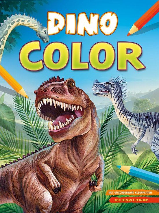 Deltas- Dino Color kleurblok