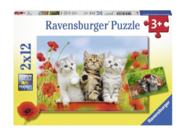 Ravensburger Puzzel 2x12 stukjes Katjes op ontdekkingsreis- Multi Color