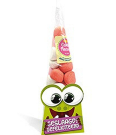 Miko-Snoepiemonster doosje - Geslaagd-Groen