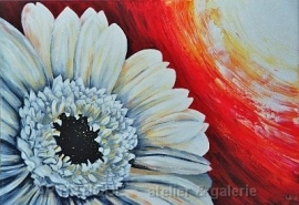 Gerbera, acrylverf