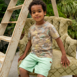 Koko Noko-Jongens T-shirt korte mouw- Taupe