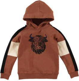 B'Chill-Jongens Sweater Lyon-Bruin