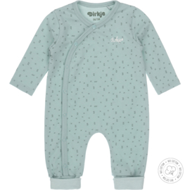 Dirkje-Baby Unisex 1 pce Babysuit Bio Cotton-Aqua green