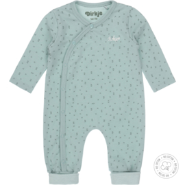 Dirkje-Baby boxpakje-1 pce-Bio Cotton-Aqua groen