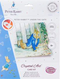 Craft Buddy- Card Kit-Diamond Painting Peter Rabbit Under the Fence 18x18cm