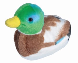 Trendzz-Vogels met geluid - Wilde Eend-Mallard Duck-Green