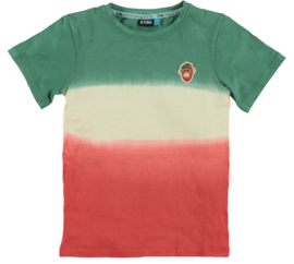 B'Chill-Jongens t-shirt ss Charles-Meerdere kleuren