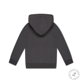 Koko Noko-Boys Nero Cardigan ls with hood Bio Cotton-Grey