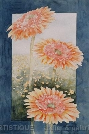 Drie Gele Gerbera`s, aquarelverf