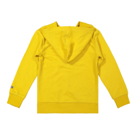 DJ Dutch Jeans-Boys Sweater ls with hood-Ochre