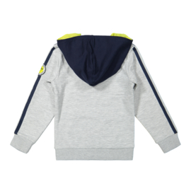 DJ Dutch Jeans-Boys Sweater ls with hood and zipper-Grey melee + navy