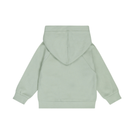 Dirkje-Jongens Cardigan-Soft sage
