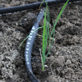 Irrigatia uitbreiding set "zweetslang"