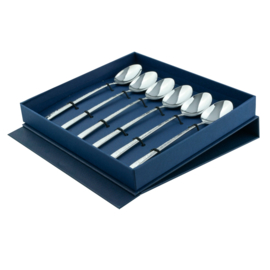 Theelepels in cadeaudoosje (6 stuks)