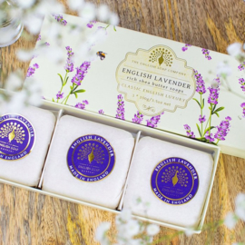 Cadeaudoos (3x100g zeep) English Lavender