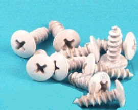 Parkerset Wit 10st 5x12 89241