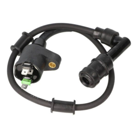 Bobine Piaggio origineel euro-4 25/45km past op zip 4t cm271704
