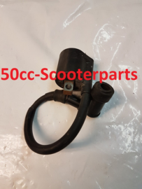 Bobine Yamaha Maxster 125 Gebruikt 3Rwh23100000