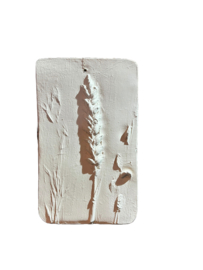 Botanisch wandornament 001 kleur Ibiza Rush LABpaint 966