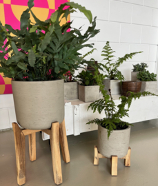 Charlie L (Feet High) , Grey Washed plantpot incl. wooden stand