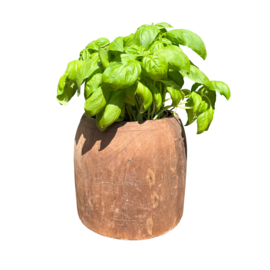 Houten pot oud uniek item LGLIM1