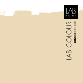 Botanisch wandornament 012 kleur Ginger LABpaint 260