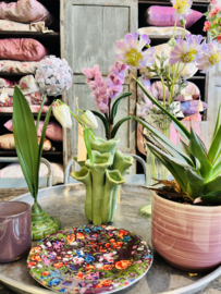 Decoratie Bloem oranje Lelie