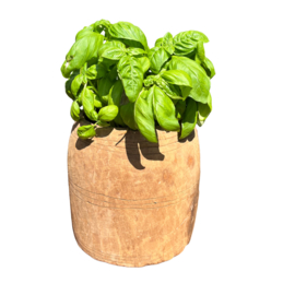 Houten pot oud uniek item LGLIM2