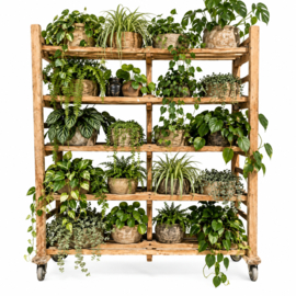 Vintage Houten Bakkerskar | Roomdivider & Presentatierek