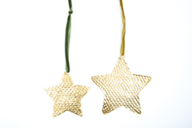 Star Evi gold M