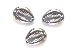 Kauri Cowrie Schelp kraal, 18x13,5mm, Zilver 4 st