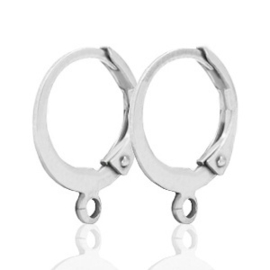 DQ  oorbellen met 1 oog sluitbaar 12 mm silver plated