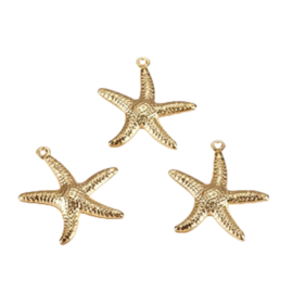 Goldcolour vergulde zeester