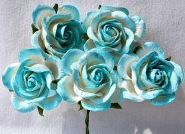 Trellis Roses - 2-tone Skyblue/White