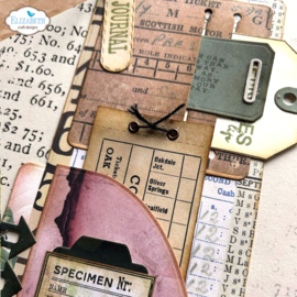 Elizabeth Craft Designs - Planner Cards 6 - 2228