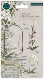 Craft Consortium - The Emporium Botany - Clear Stamps