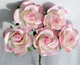 Trellis Roses - 2-tone Pink/White