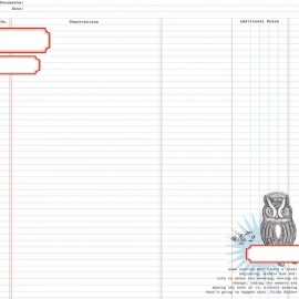 Teresa Collins - Stationery Noted - Owl Ledger