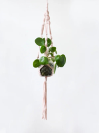 DIY pakket macramé plantenhanger peach