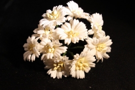 WILD ORCHID CRAFTS - WHITE COSMOS DAISIES