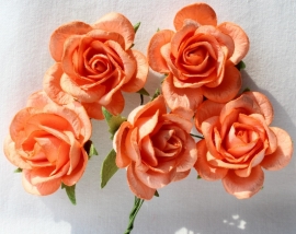 Trellis Roses - Light Orange