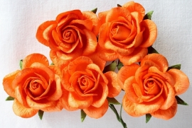 Trellis Roses - Orange