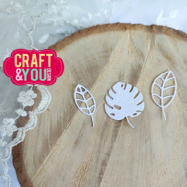 Craft & You Design - Leaves Set WM2 -  CW241