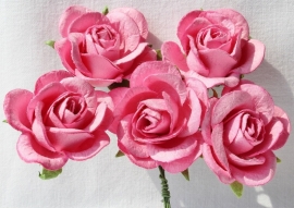 Trellis Roses - Pink