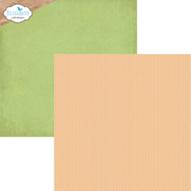 Elizabeth Craft Designs - Colorful Collective  paperpack C030 - 30,5 x 30,5 cm - C030