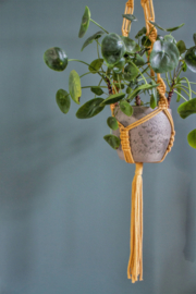 DIY pakket macramé plantenhanger geel