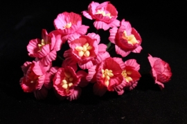 WILD ORCHID CRAFTS - BRIGHT PINK COSMOS DAISIES