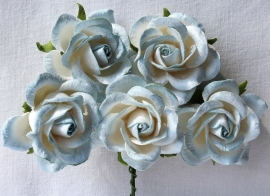 Trellis Roses - 2-tone Steelblue/White
