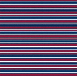 Hot Off The Press - Patriotic Star Stripe