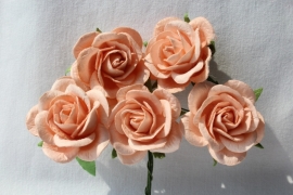 Trellis Roses - Peach